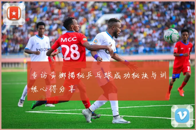 专访黄娜揭秘乒乓球成功秘诀与训练心得分享