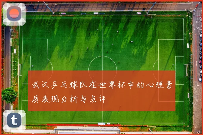 武汉乒乓球队在世界杯中的心理素质表现分析与点评