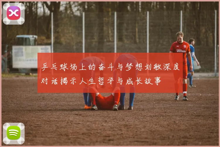 乒乓球场上的奋斗与梦想刘敏深度对话揭示人生哲学与成长故事