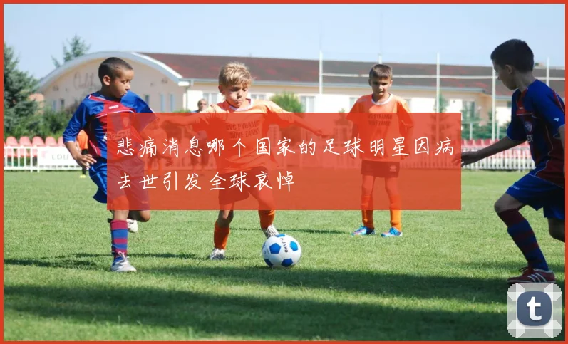 悲痛消息哪个国家的足球明星因病去世引发全球哀悼