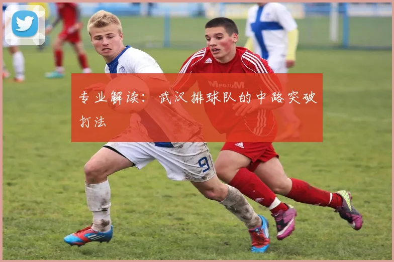 专业解读：武汉排球队的中路突破打法