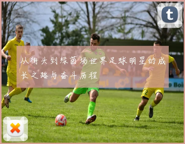 从街头到绿茵场世界足球明星的成长之路与奋斗历程