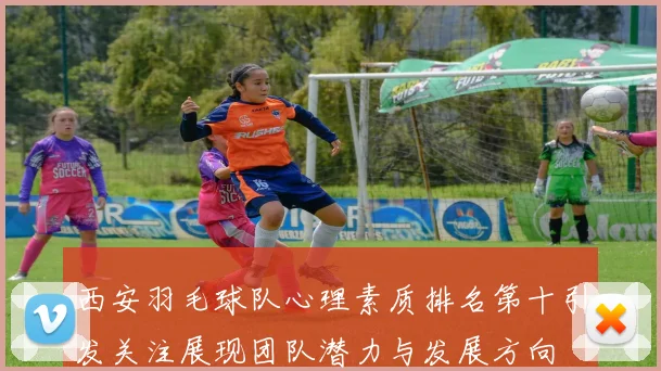 西安羽毛球队心理素质排名第十引发关注展现团队潜力与发展方向